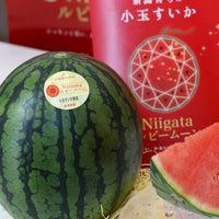 Niigata Ruby Moon Mini Watermelon 新潟紅月小玉西瓜