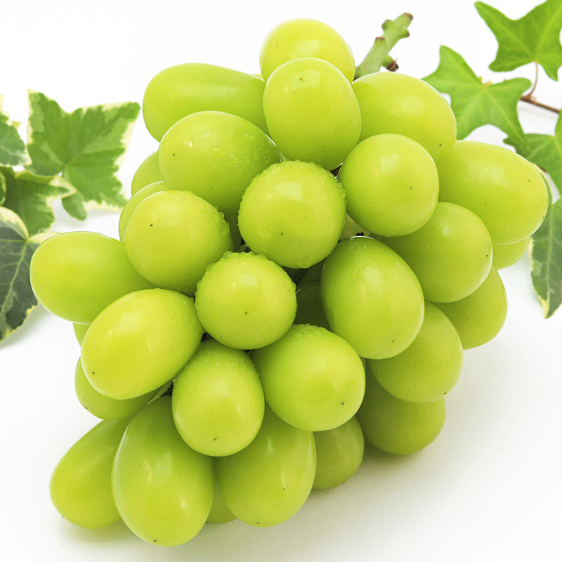 Syukaen Shine Muscat Grapes 秀果園麝香葡萄(香印提子)