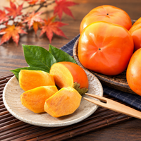 Shizuoka Hamakita Jiro Persimmon