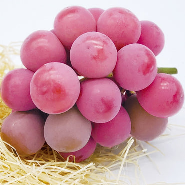 Syukaen Queen Nina Grapes 秀果園妮娜皇后葡萄
