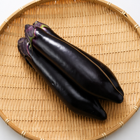 Hakata Eggplant (Nasu) 3pcs 博多茄子
