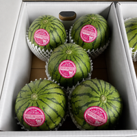 Aomori Pino Girl Kodama Watermelon 青森 Pino Girl 小玉西瓜