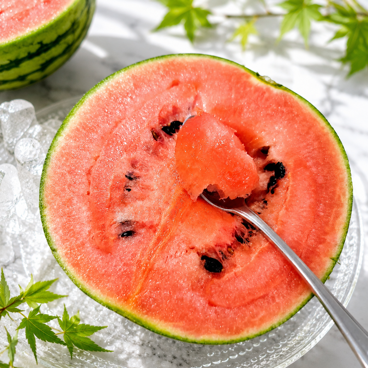 Yabuzuka Kodama Watermelon 群馬藪塚小玉西瓜