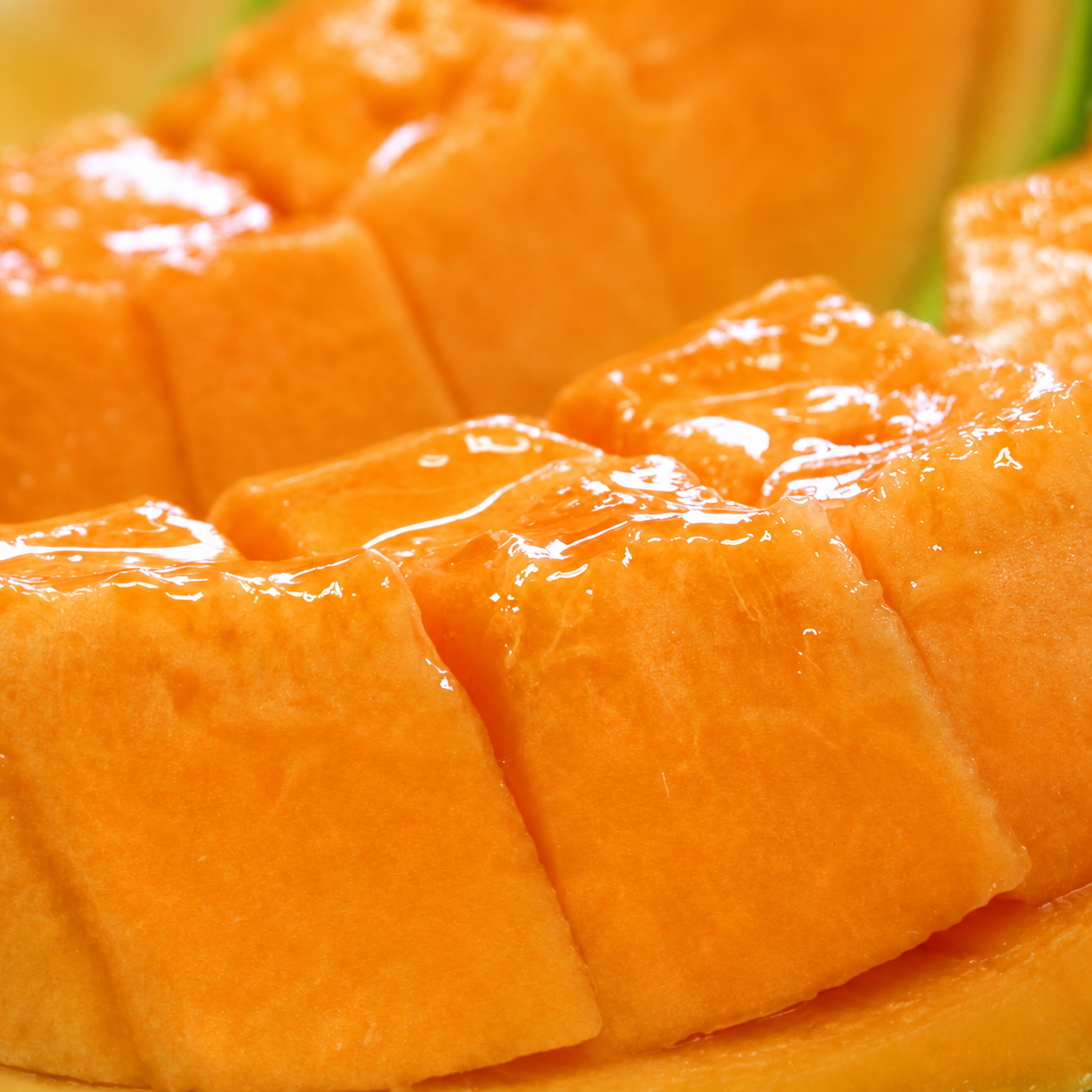 Hokkaido Yubari Melon 北海道夕張蜜瓜