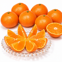 Beni Madonna 100% Mikan Juice 720ml