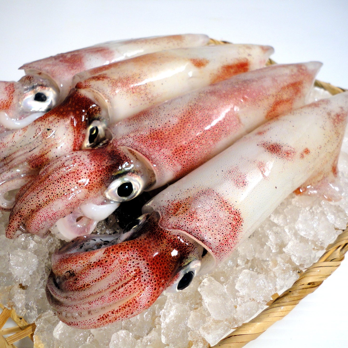 Frozen Swordtip Squid Sashimi (kensaki ika)  急凍劍尖槍烏賊