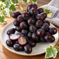 Syukaen Nagano Muscat Noir Grapes – Black Shine Muscat
