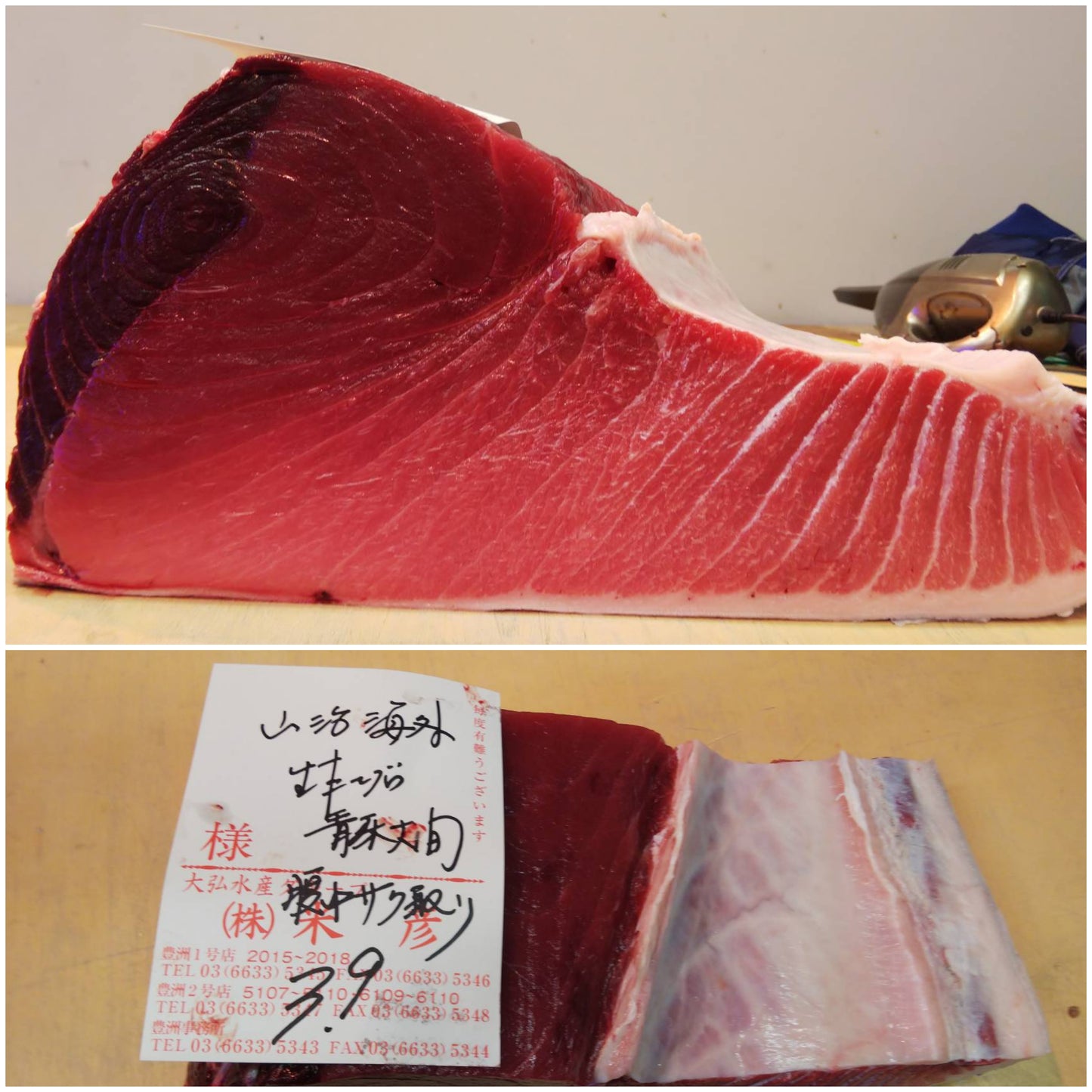 Wild Bluefin Tuna 野生藍鰭金槍魚 (Please see description)