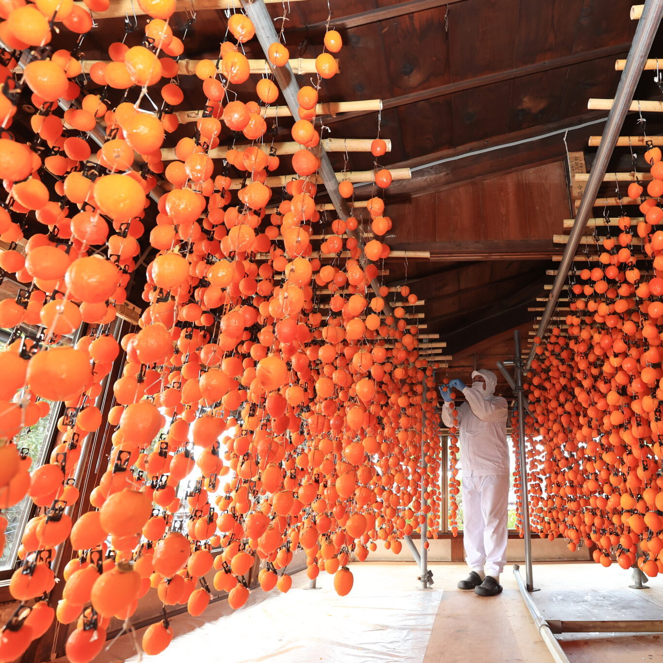 Ichida Dried Persimmons 長野市田柿