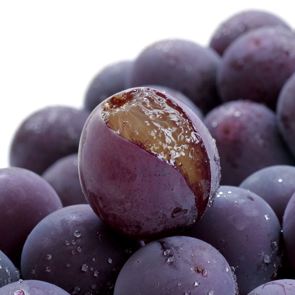 Syukaen Kyoho Grapes 秀果園巨峰葡萄