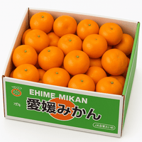Ehime Kara Mandarin 愛媛 Kara 柑橘