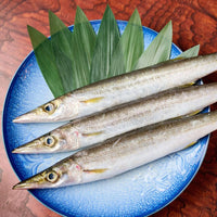 Barracuda (Kamasu) 梭子魚