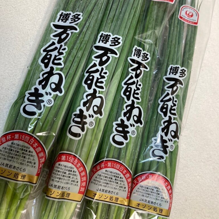 Hakata Banno Green Onion 博多萬能蔥– Fukuya Foods
