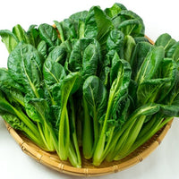 Japanese Mustard Spinach Komatsuna 新鮮日本小松菜