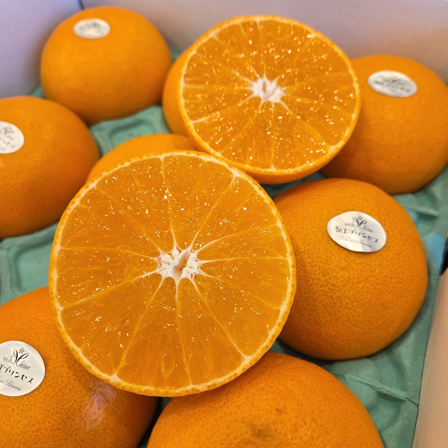 Ehime Beni Princess Mikan 愛媛紅公主蜜柑