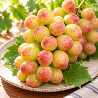 Syukaen Nagano Benitamaki Grapes