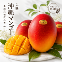 Okinawa Apple Mango 沖縄蘋果芒果