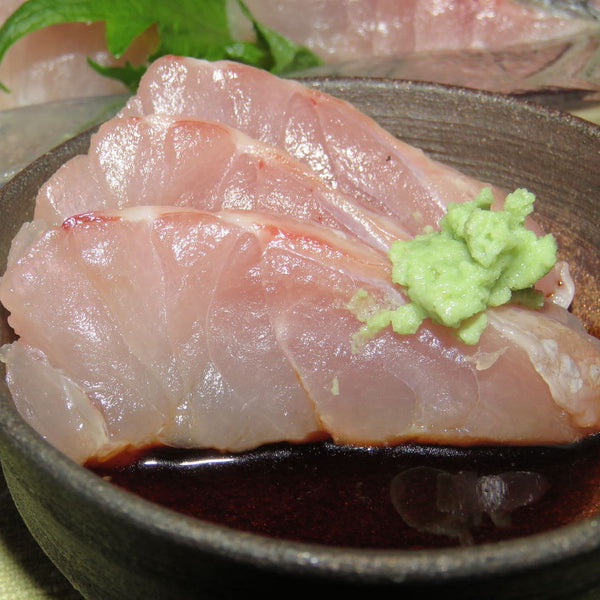 Fresh Japanese Bluefish (Kuromutsu) 新鮮黒鯥