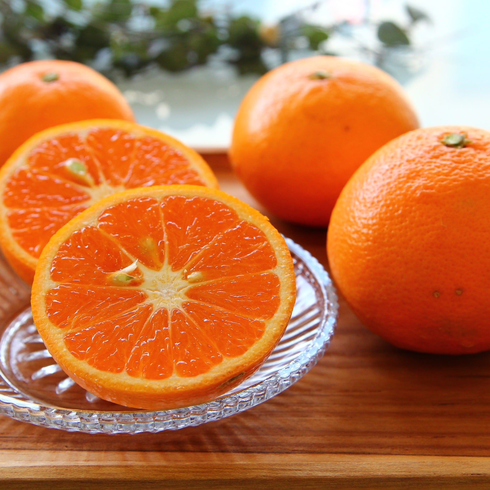 Ehime Kara Mandarin 愛媛 Kara 柑橘