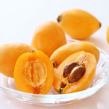 Japan Loquat (biwa) 日本枇杷