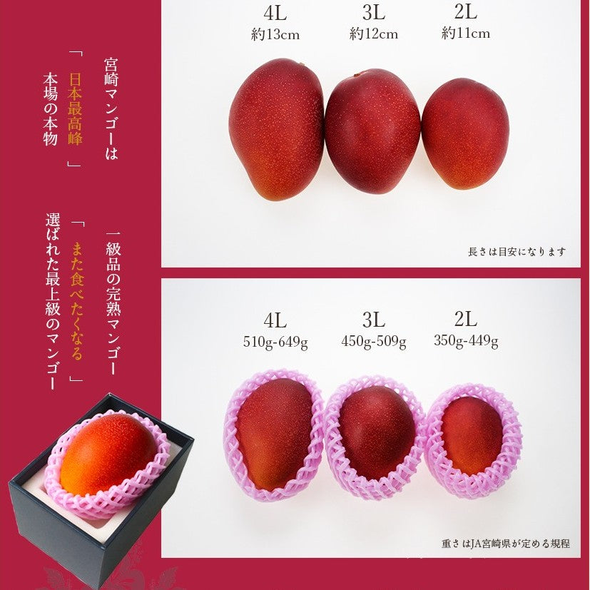 Miyazaki Mango "Egg of the Sun" 宮崎縣產完熟芒果「太陽之子」