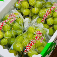 Shine Muscat Grapes 麝香葡萄(香印提子)