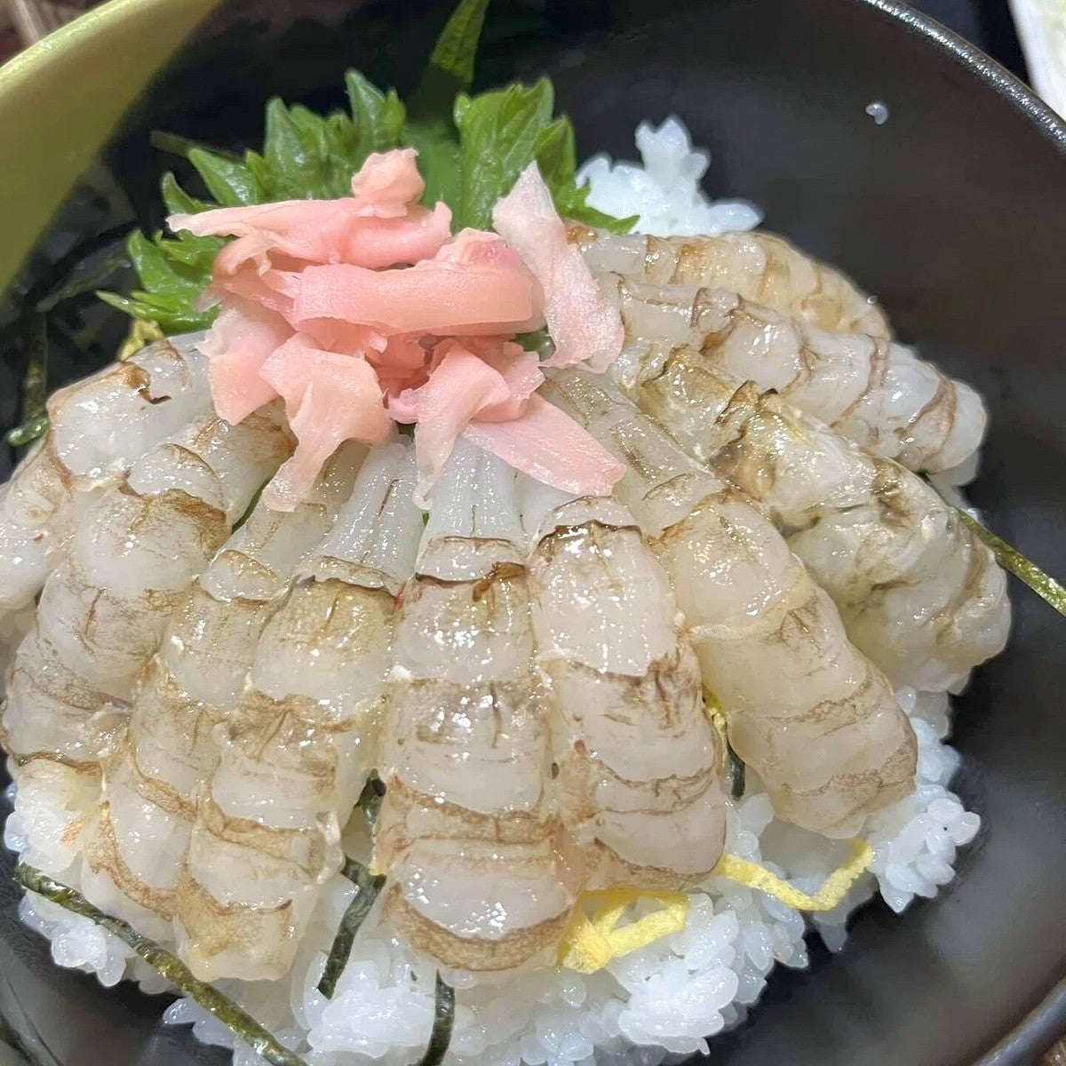 Mosa Shrimp Sashimi (mosa ebi) 猛者海老刺生