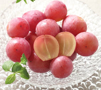 Syukaen Queen Nina Grapes 秀果園妮娜皇后葡萄