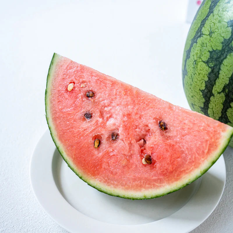Yabuzuka Kodama Watermelon 群馬藪塚小玉西瓜