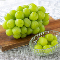 Shine Muscat Grapes 麝香葡萄(香印提子)