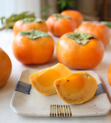 Shizuoka Hamakita Jiro Persimmon 静岡浜北次郎柿