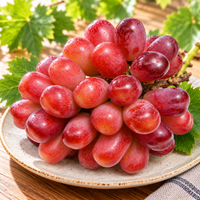 Syukaen Nagano Wink Grapes
