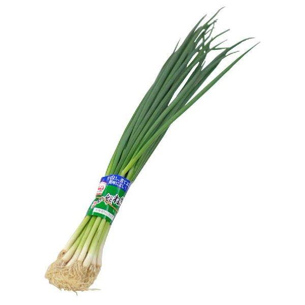 Hakata Banno Green Onion 博多萬能蔥