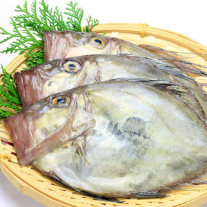 Fresh John Dory (Matoudai) 新鮮日本的鯛