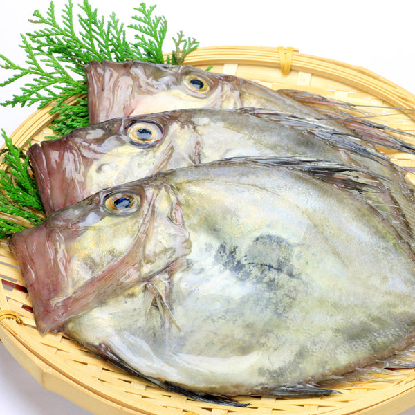 Fresh John Dory (Matoudai) 新鮮日本的鯛