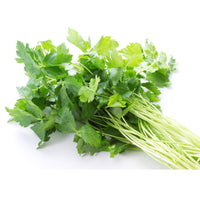 Japanese Parsley Mitsuba 新鮮三葉