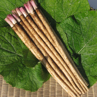 Japanese Burdock Root (Gobo) 新鮮日本牛蒡