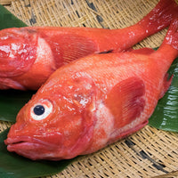 Channel Rockfish (Kinki) 喜知次