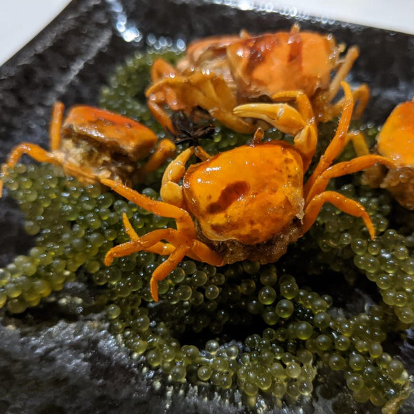 Miyazaki Fresh Water Crab (Sawagani) 宮崎産野生小澤蟹