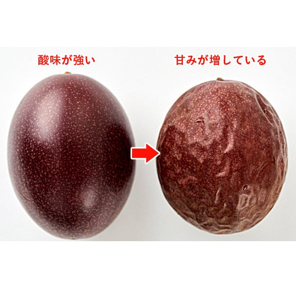 Okinawa Passion fruit 沖繩百香果