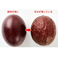 Okinawa Passion fruit 沖繩百香果