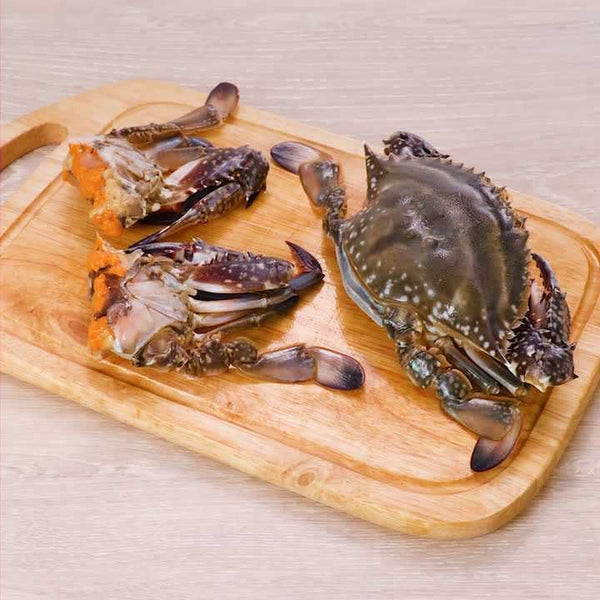 Japanese Blue Crab (Watari gani) 新鮮日本渡蟹