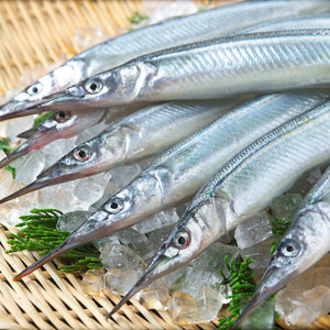 Fresh Japanese Halfbeak (Sayori) 新鮮日本水針魚