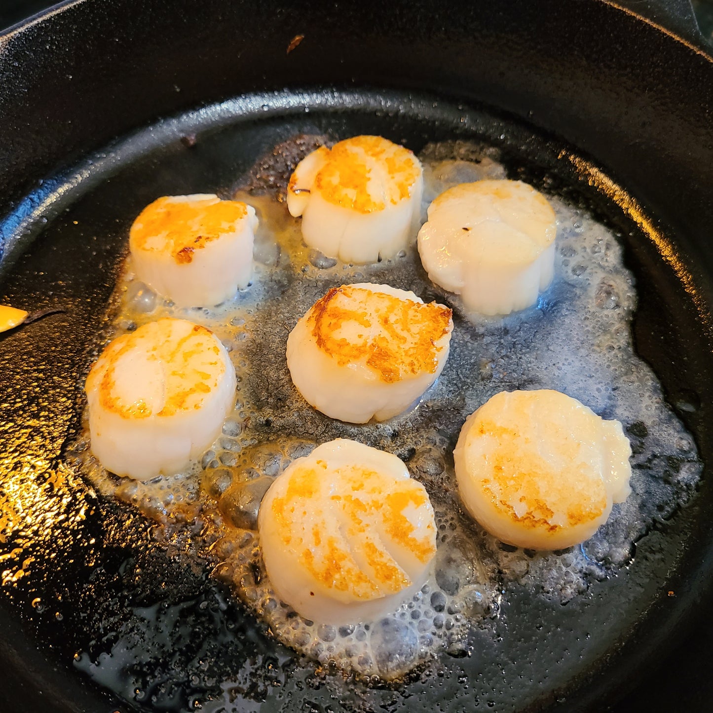 Premium Frozen Hokkaido Scallops 急凍北海道刺生級大号元貝