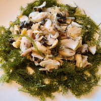 Okinawa Sea Grapes (Umibudo)