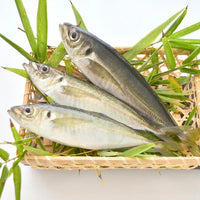Horse Mackerel (Aji) 池魚 (竹筴魚)