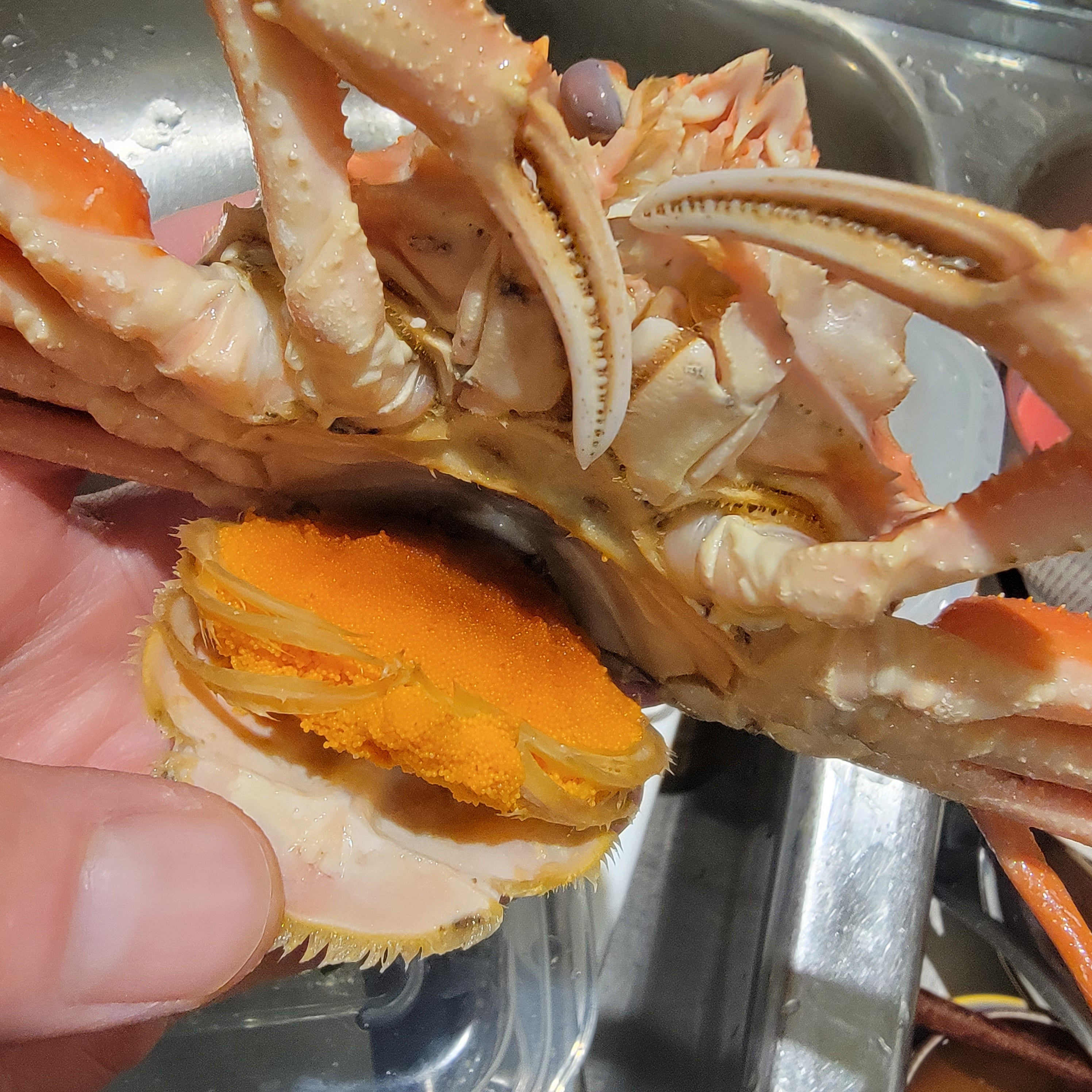 Fresh Female Snow Crab (Seko Gani) 日本新鮮香箱蟹 – Fukuya 