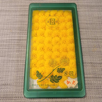 Japanese Chrysanthemum (Kogiku) 日本食用小菊