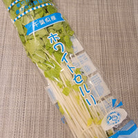 Japanese White Celery 新鮮日本白芹菜