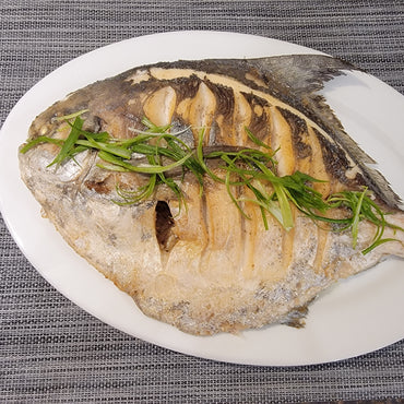 Silver Pomfret (Managatsuo) 日本䱽魚/鯧魚